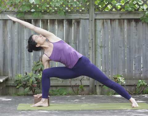B-Utthita Parsvakonasana with block-1.jpg