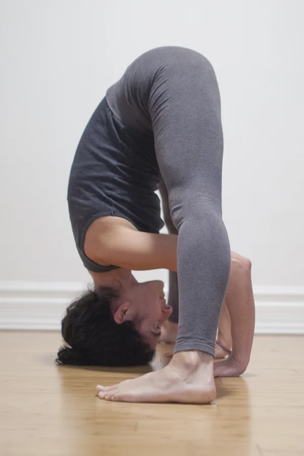 L2-prasaritapadottanasana.jpg