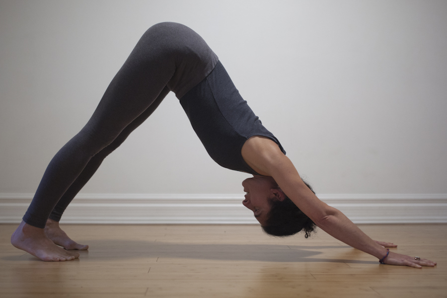 L1-adhomukhasvanasana.jpg