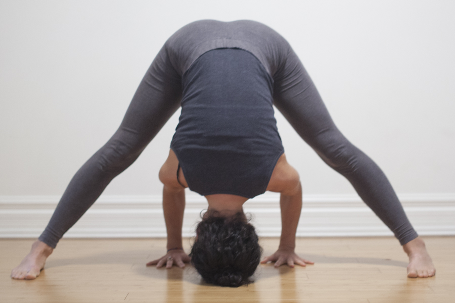 L1-prasarita padottanasana.jpg