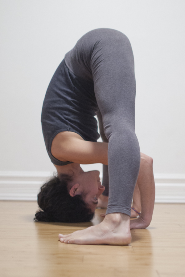 L2-prasaritapadottanasana.jpg