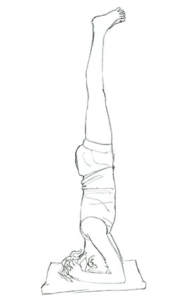 Illustration : BOBBY CLENNELL © bobbyclennell.com/MYoga.html