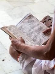 sanskrit - adobe3.jpg