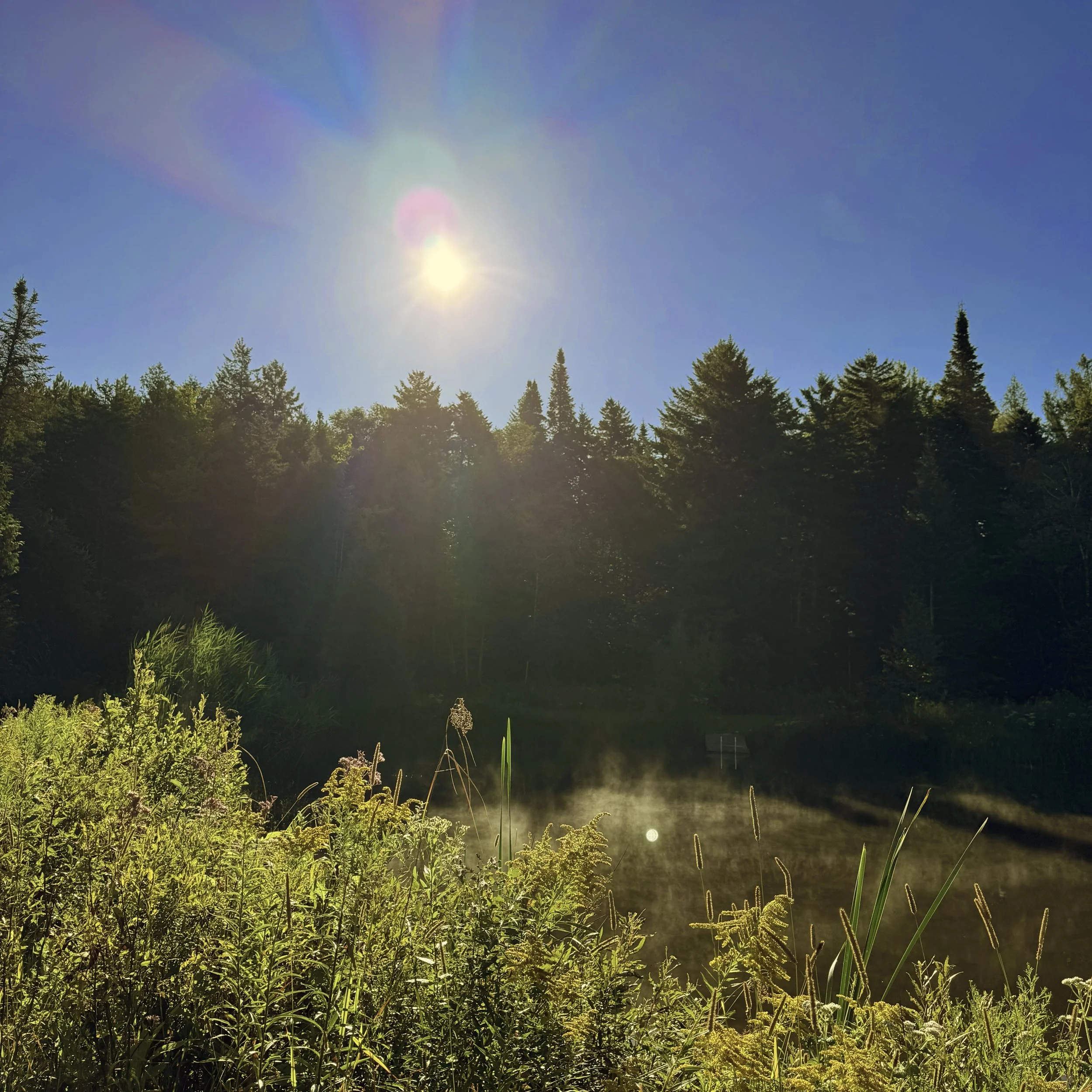 FullSizeRender 13.jpg