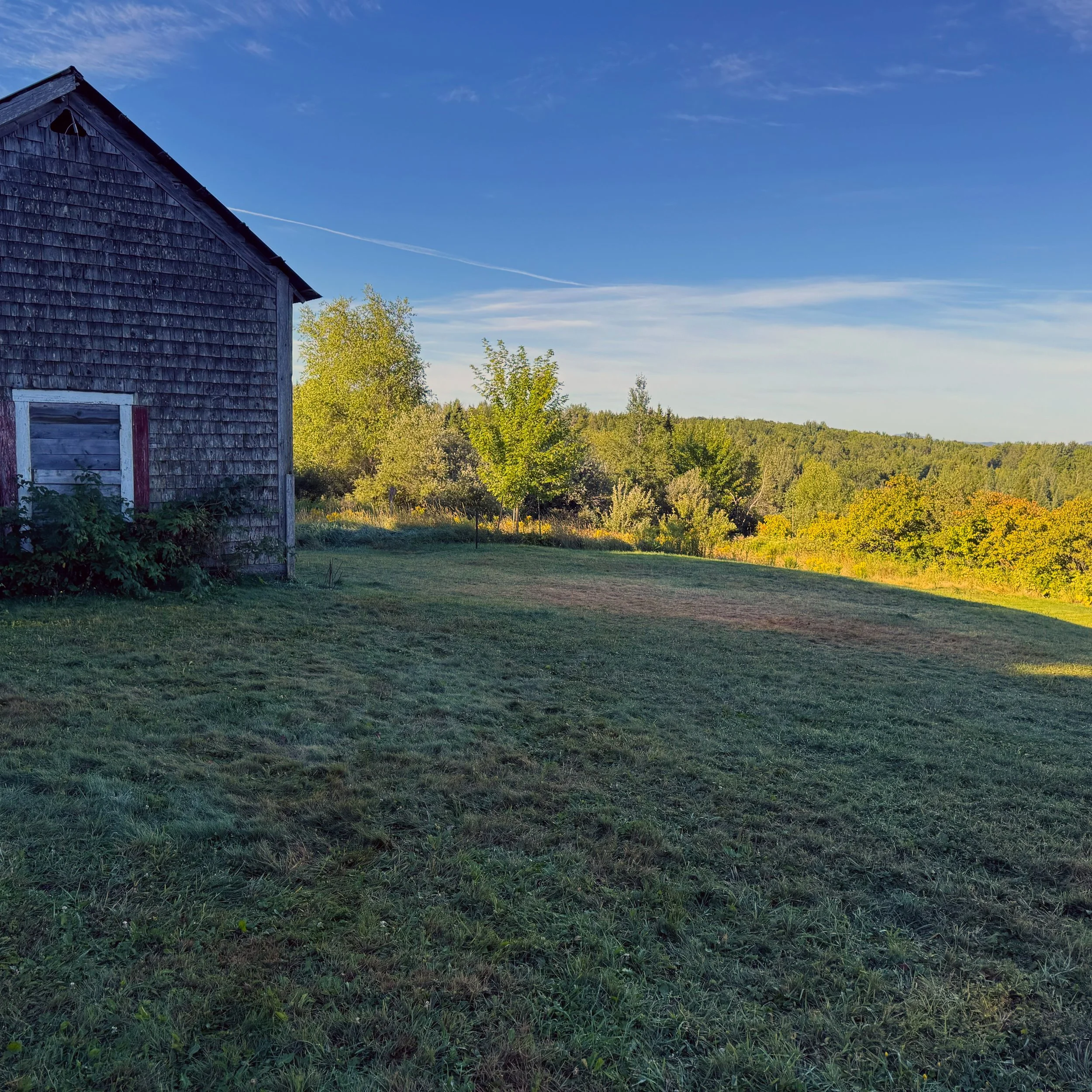 FullSizeRender 18 copie.jpg