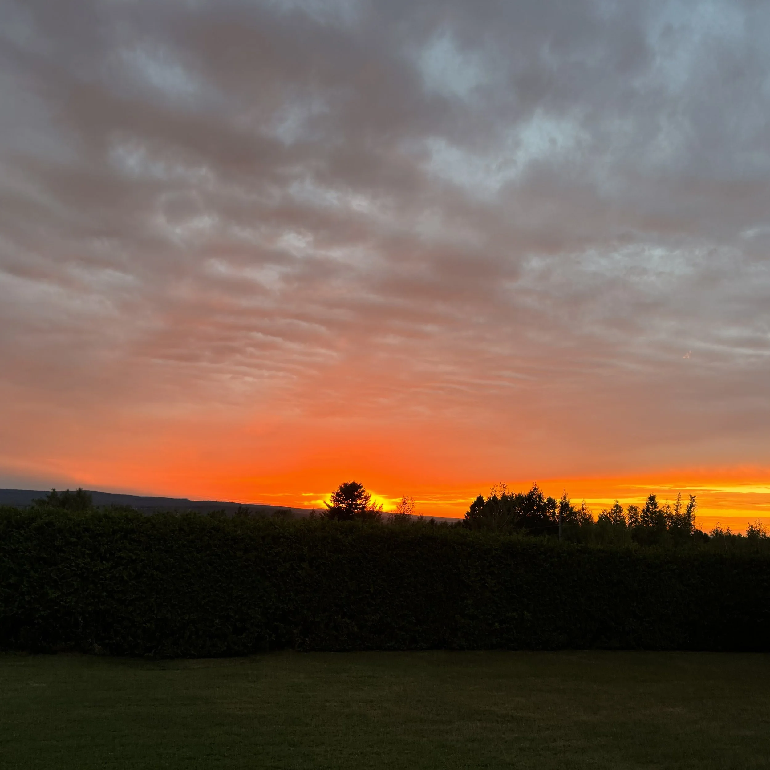 FullSizeRender 38 copie.jpg