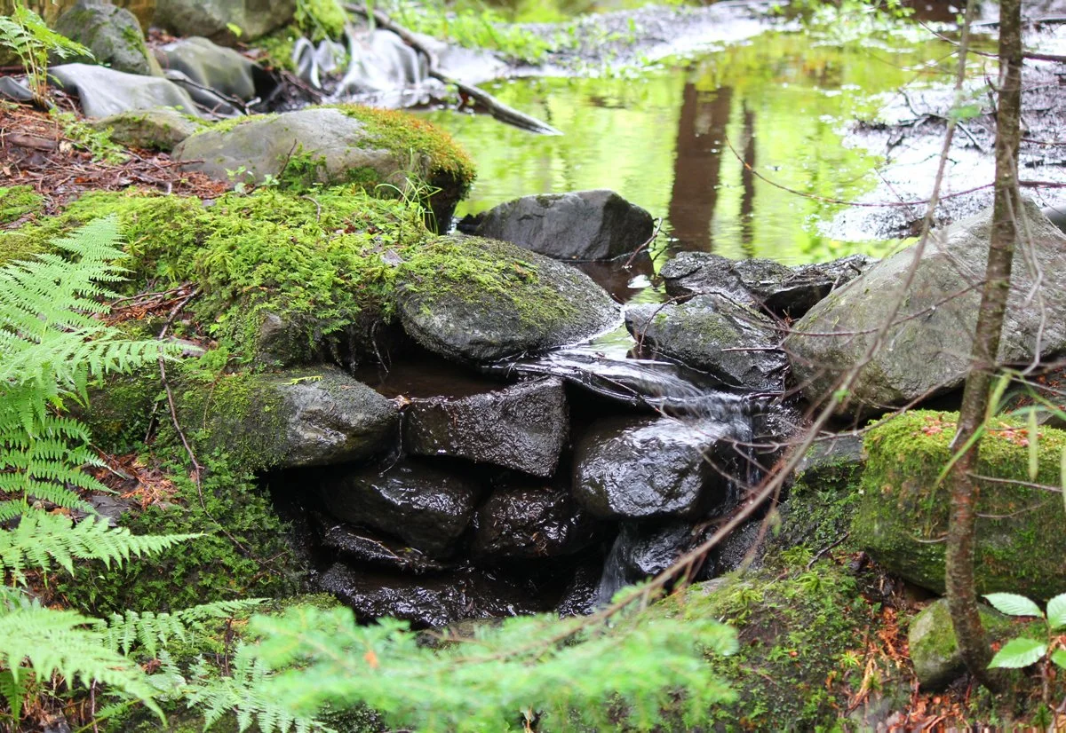 IMG_0734 Marie-Anne Marin(petite).jpg