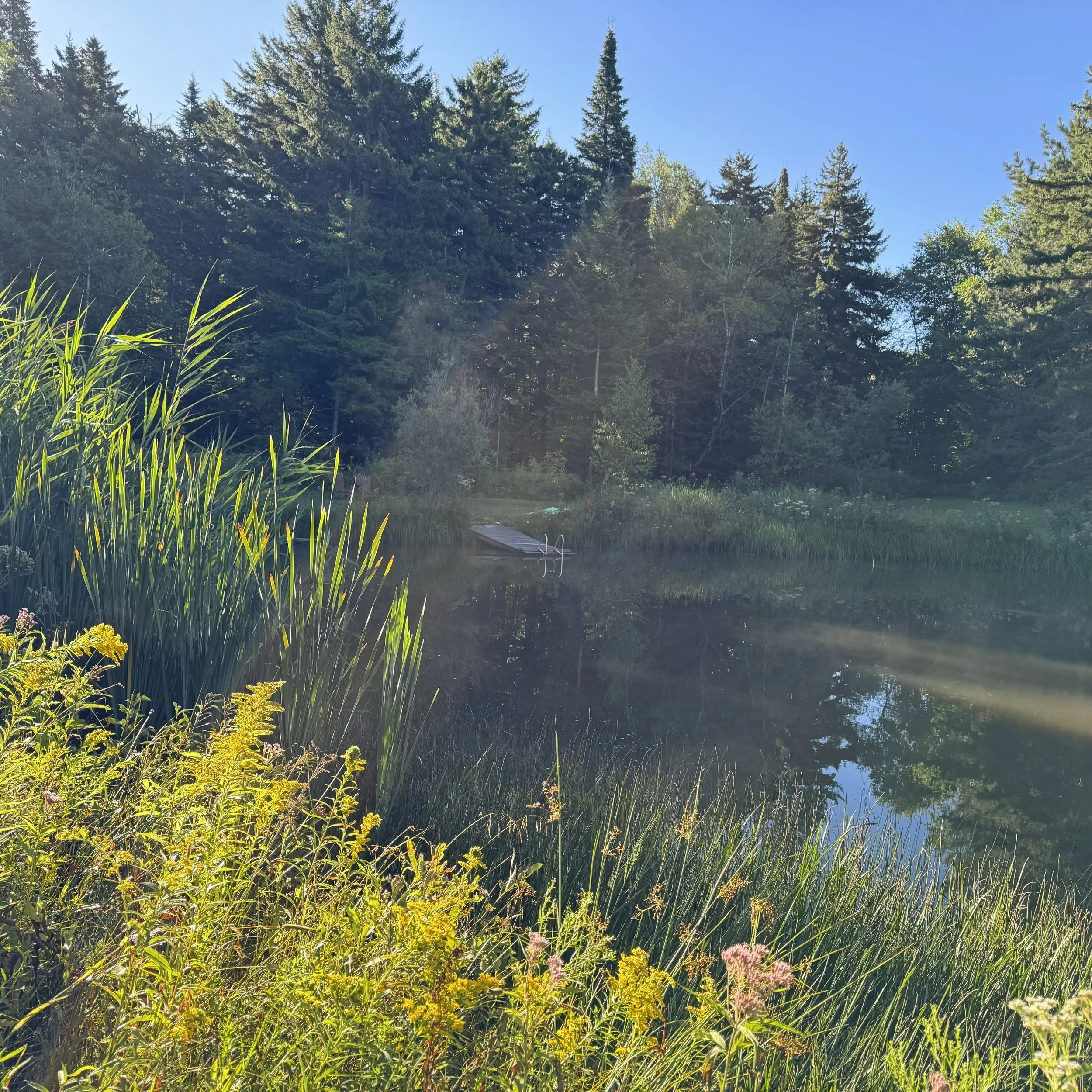 Copie de FullSizeRender 10.jpg