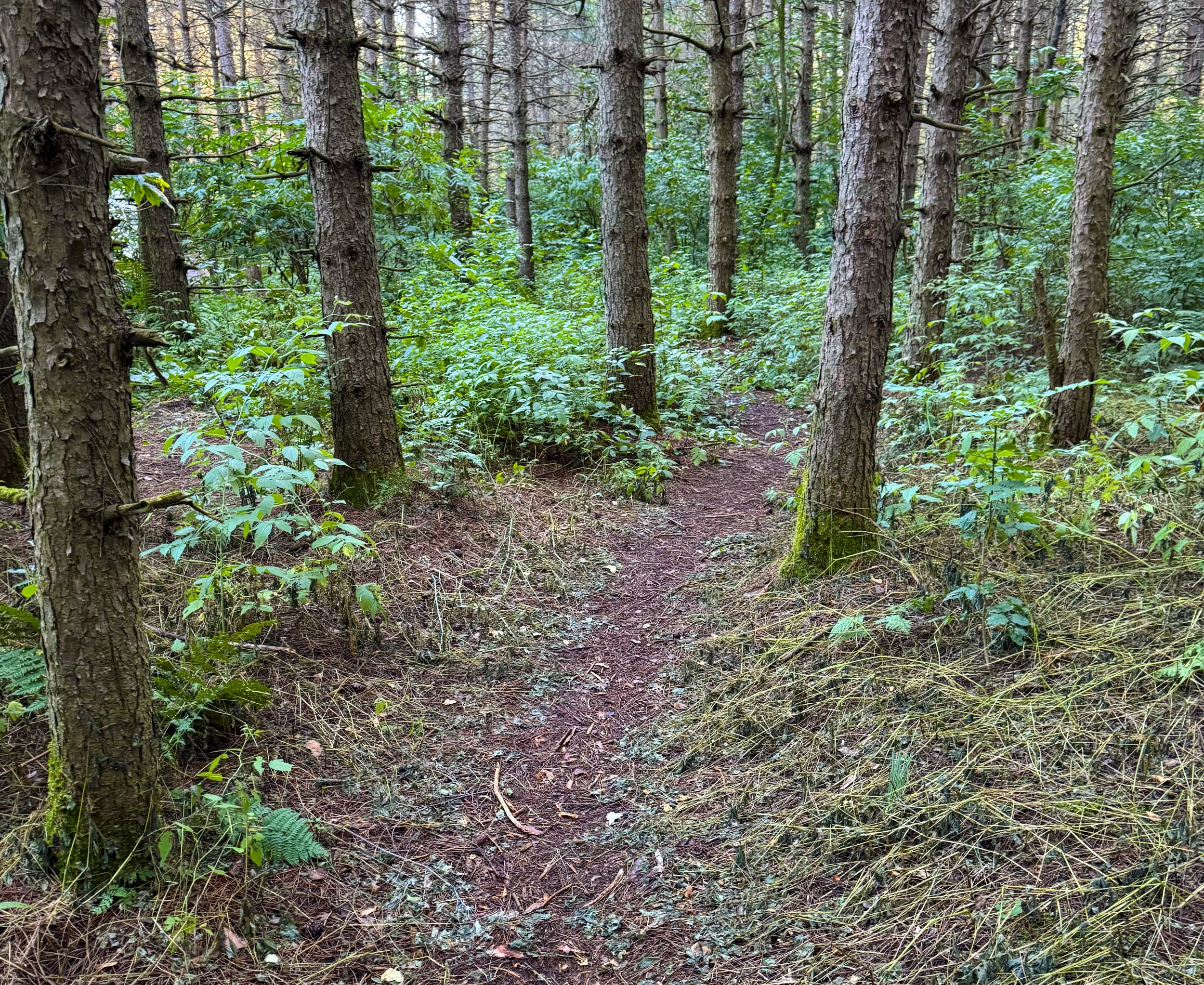 FullSizeRender 9.jpg