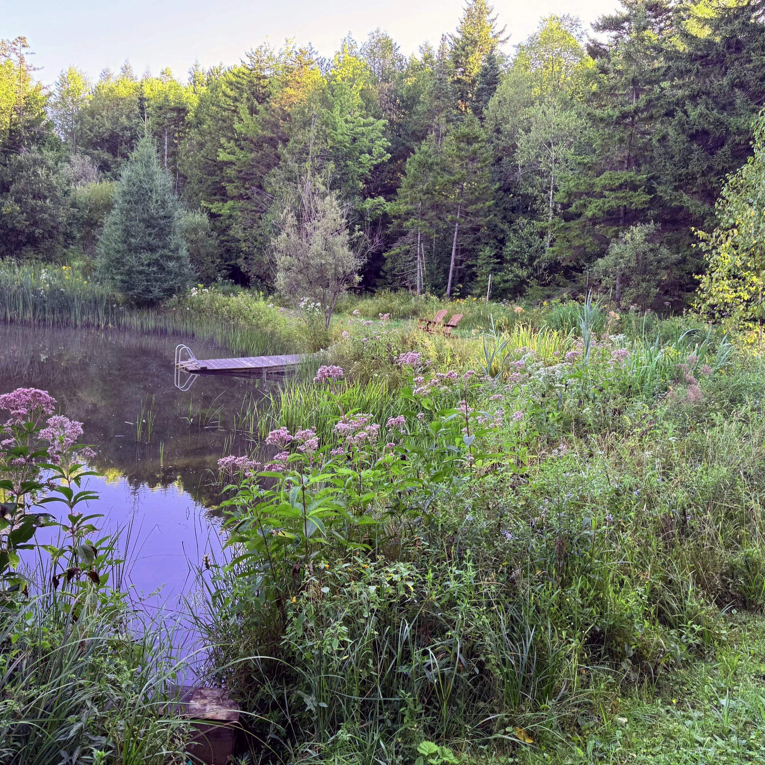 FullSizeRender 15.jpg