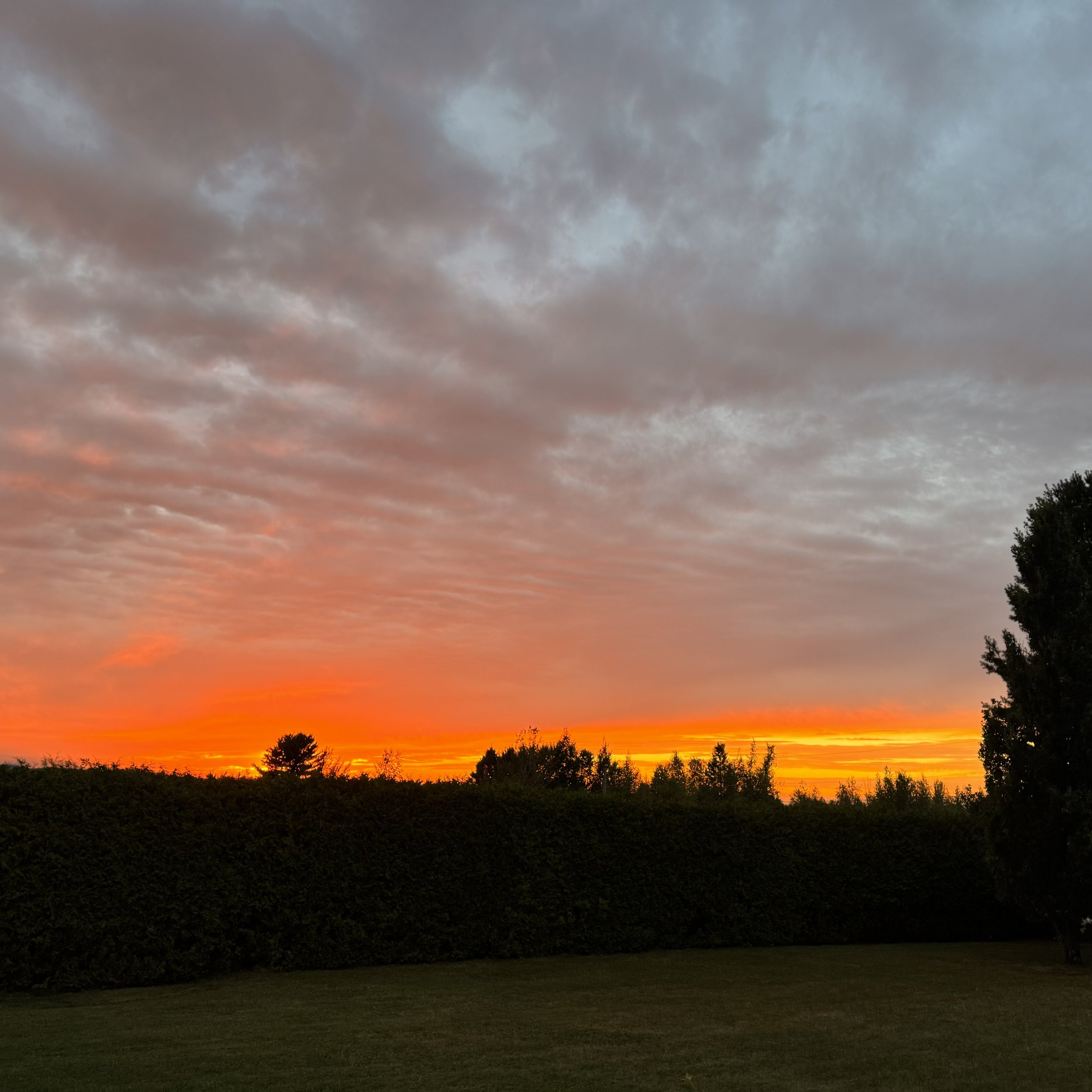 FullSizeRender 46 copie.jpg