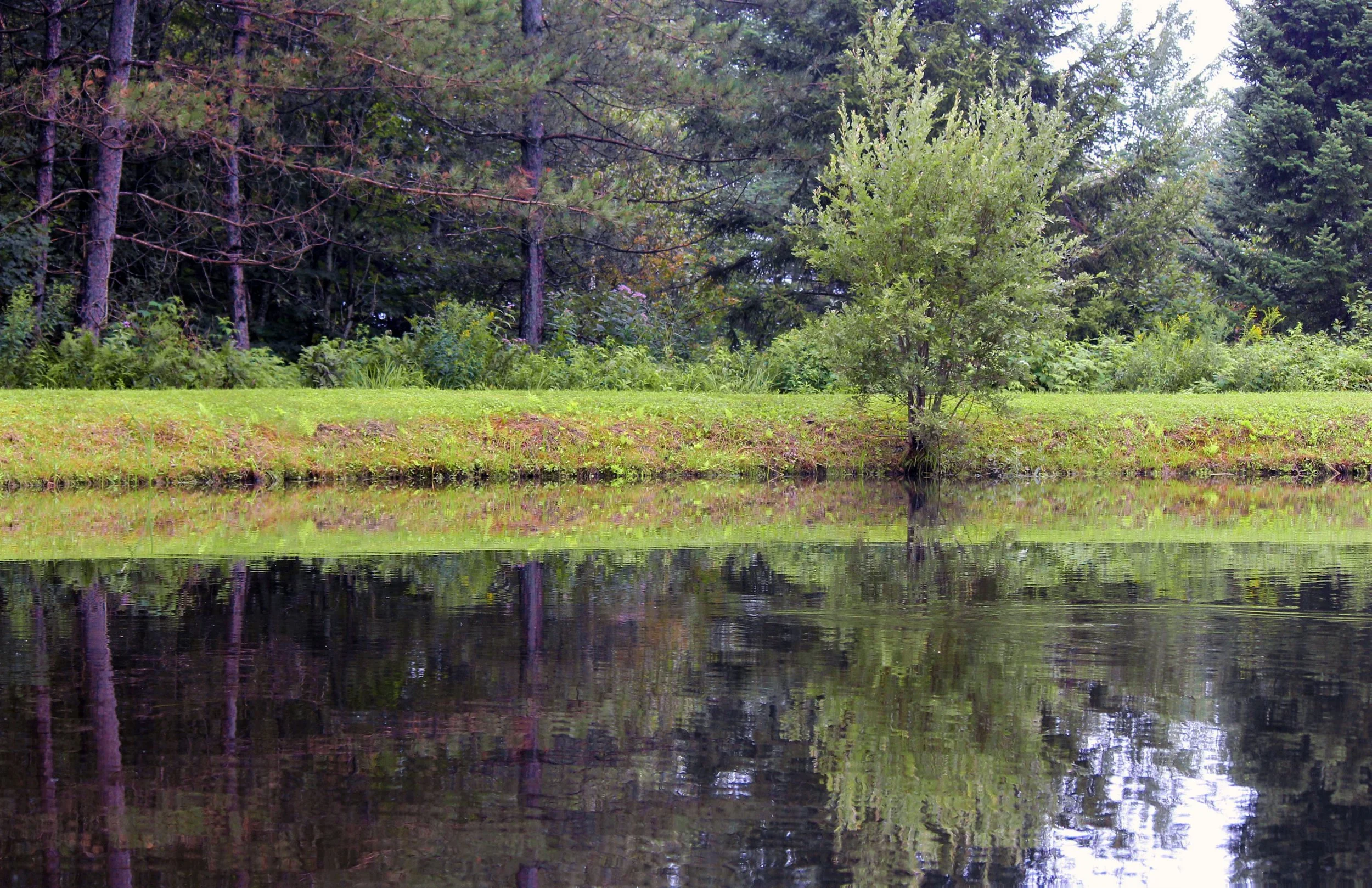 IMG_0740 (2) copie.jpg