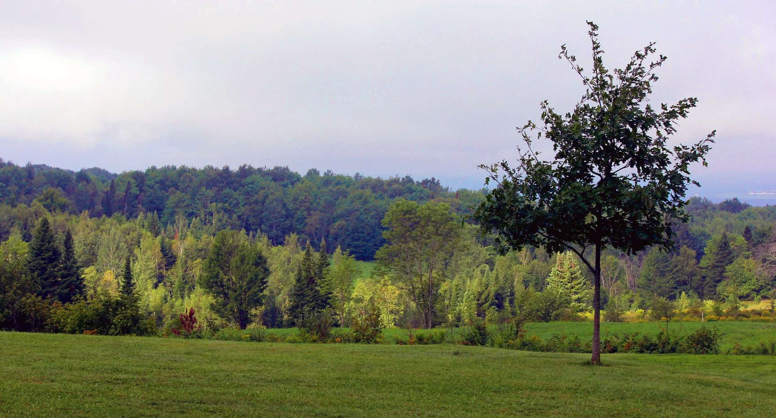 IMG_0724 Marie-Anne Marin2 copie.jpg