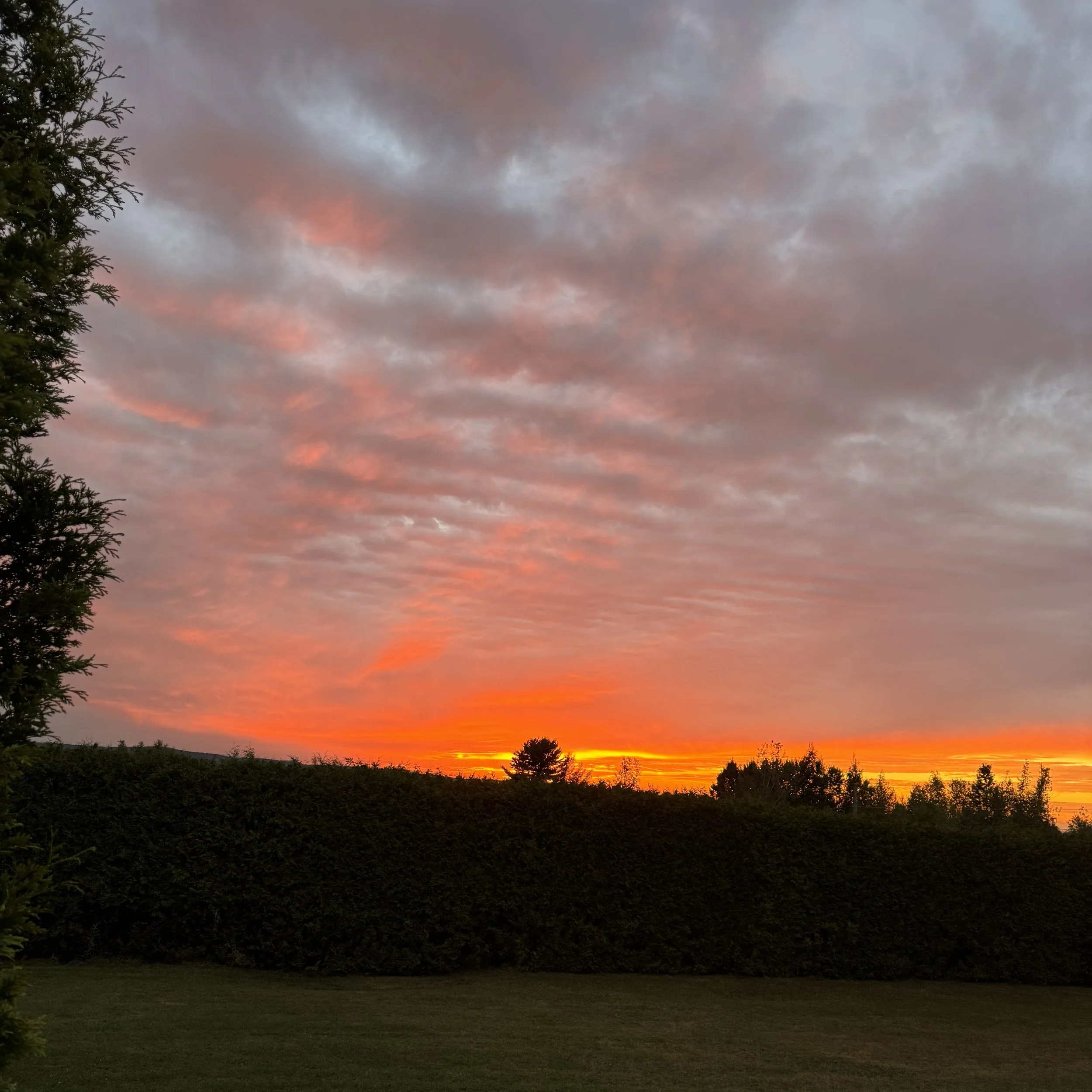 FullSizeRender 49 copie.jpg