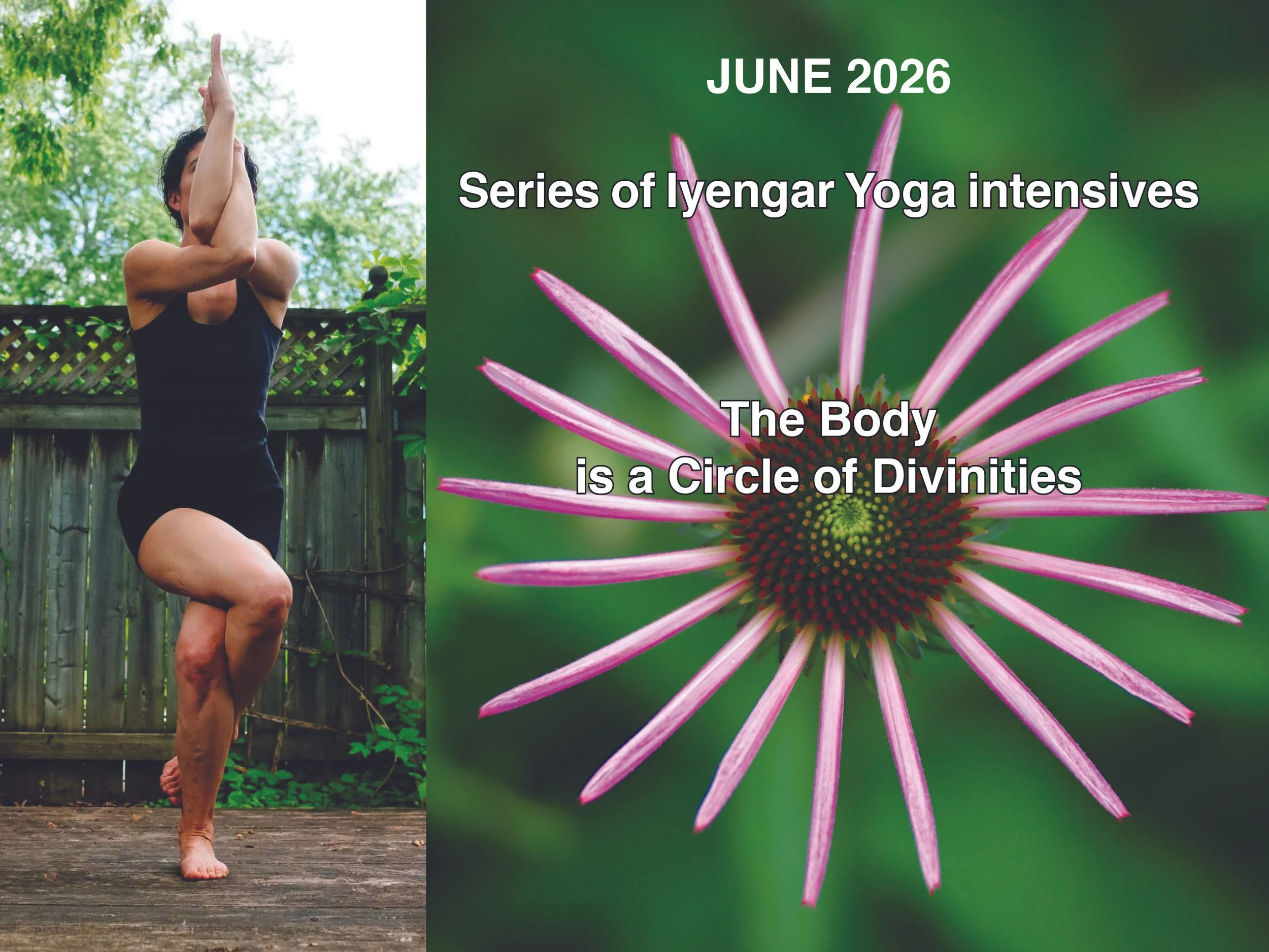 Series of Iyengar Yoga intensives - Daily practice with Eliot : The Body is a Circle of Divinities