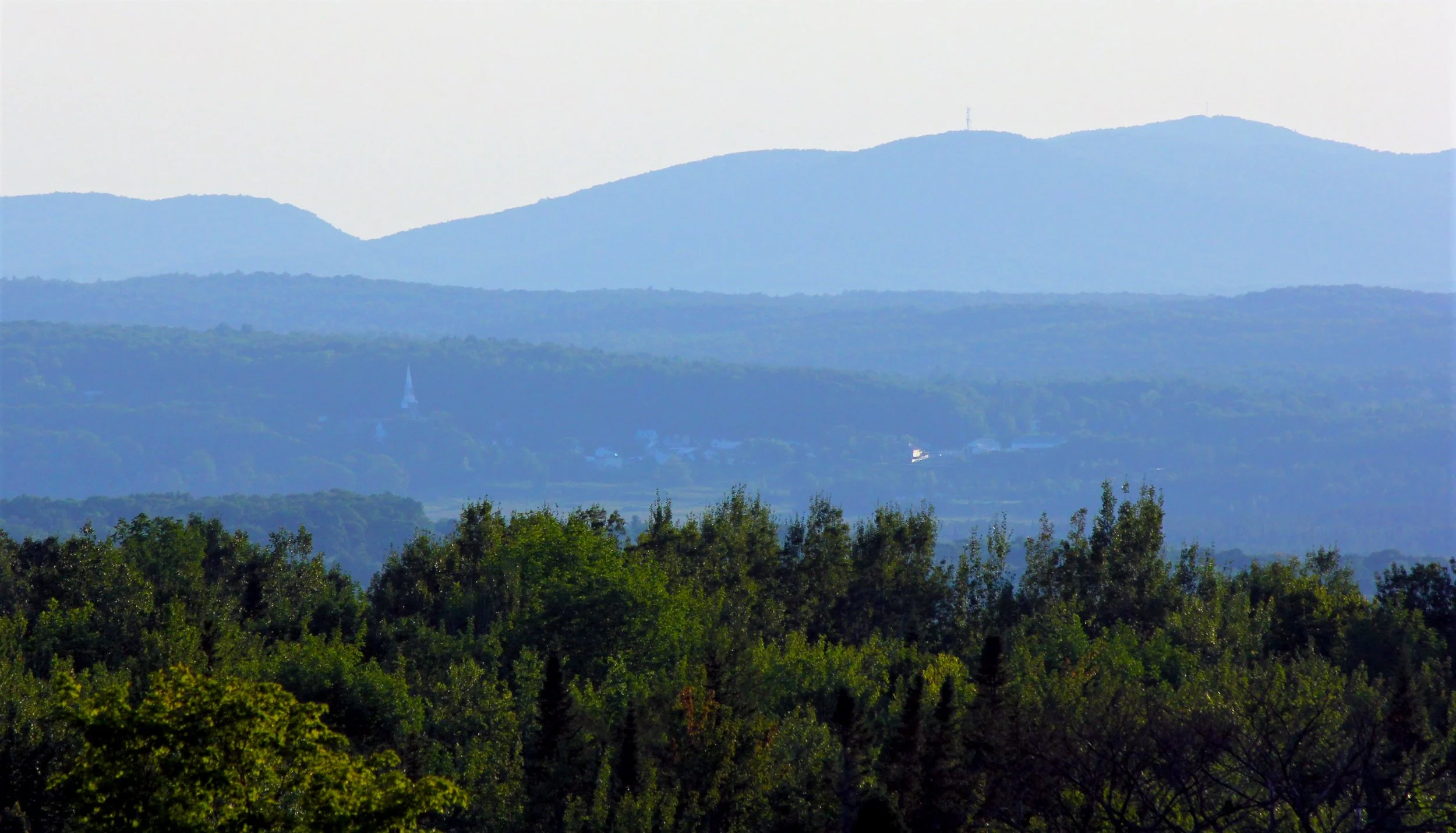 IMG_0761 (2) copie.jpg