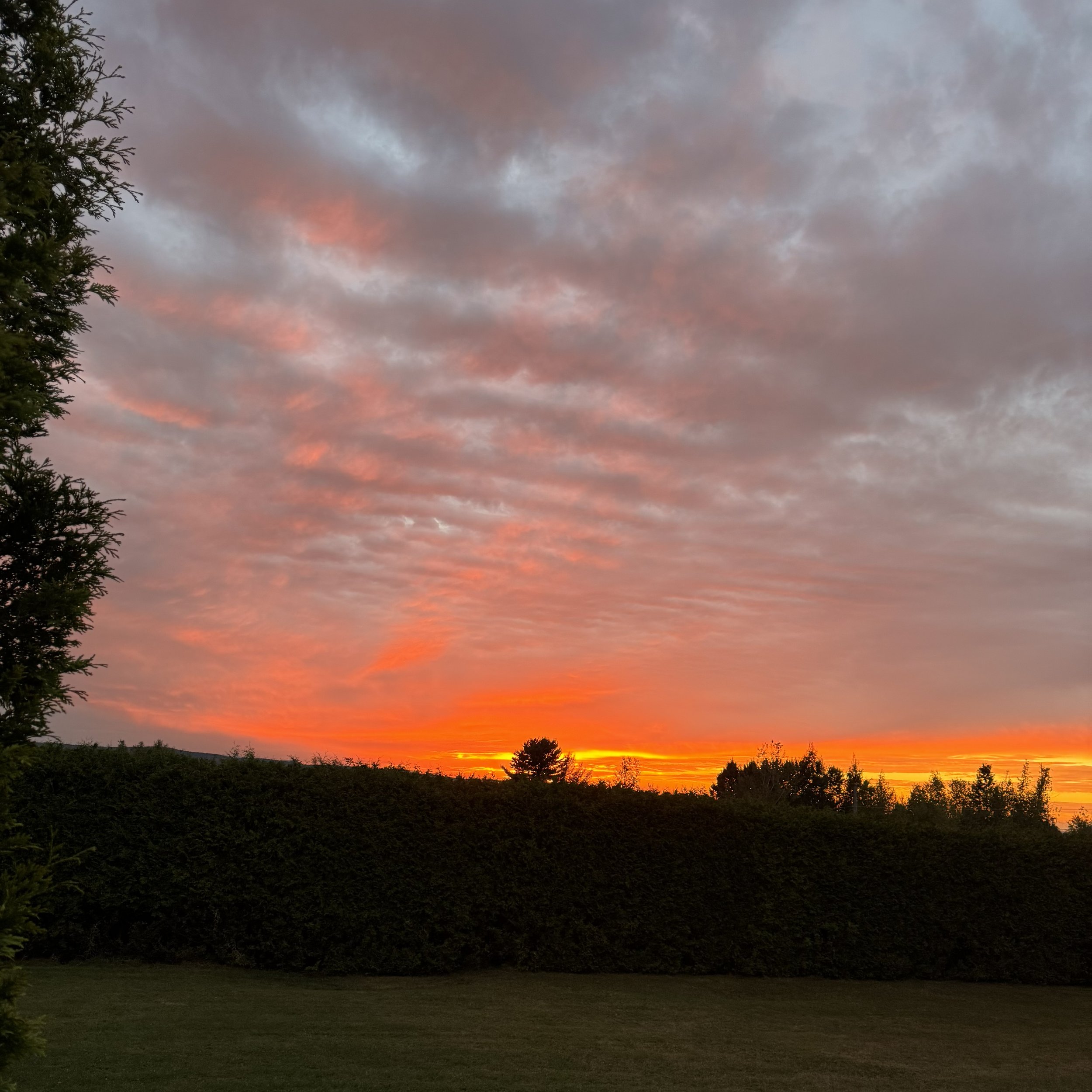 FullSizeRender 49 copie.jpg