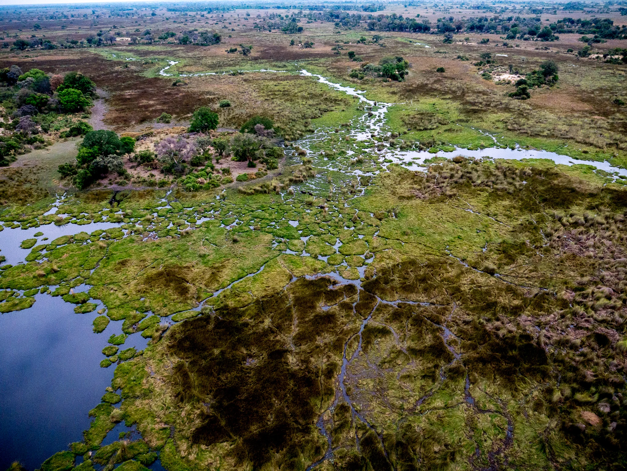 Maun, Botswana, Kwetsani Lodge (459 of 508).jpg