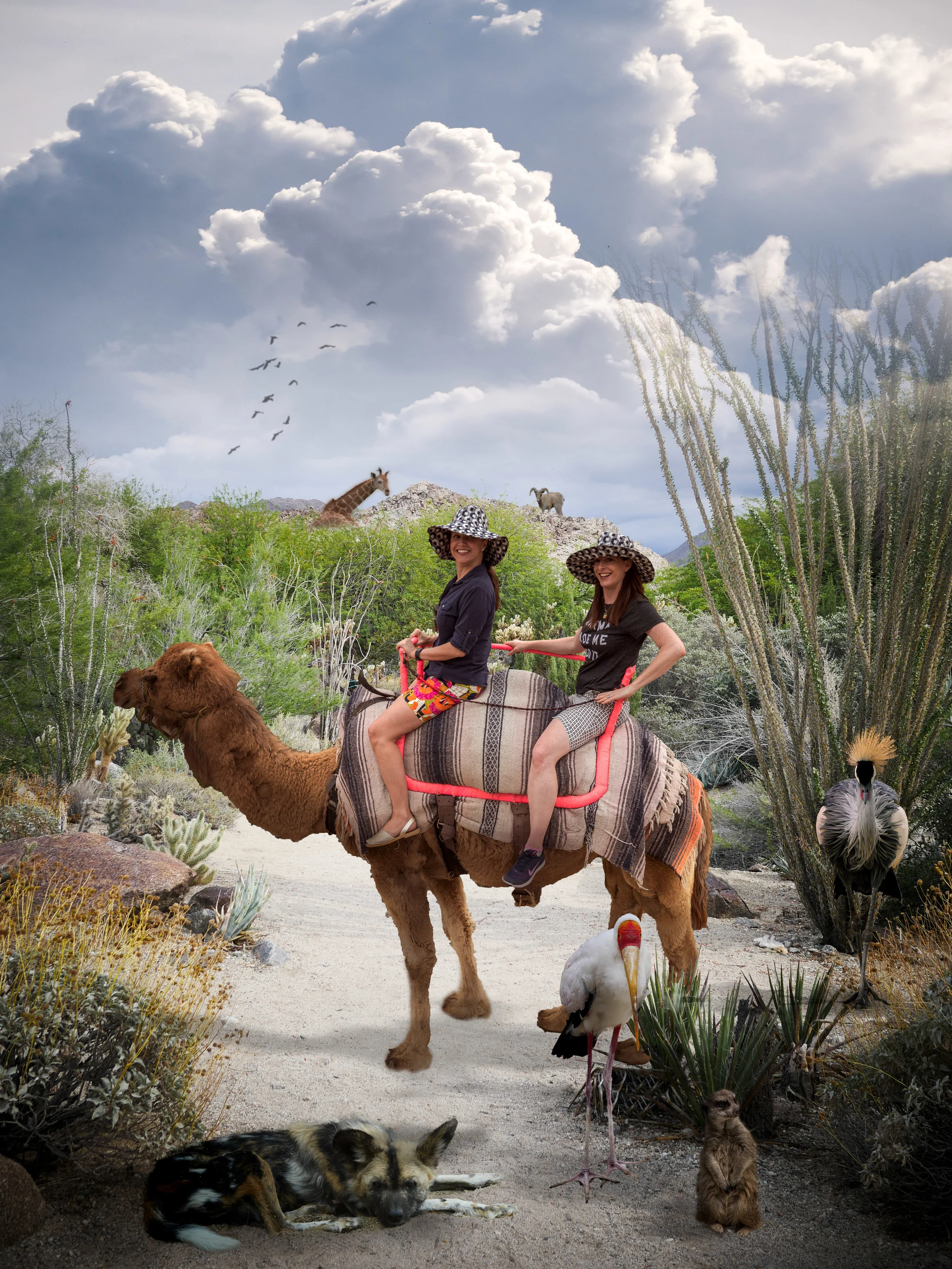 Jeanice Bridget Camel in Desert Scene.jpg