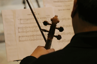 violinista para matrimonios y eventos Chile