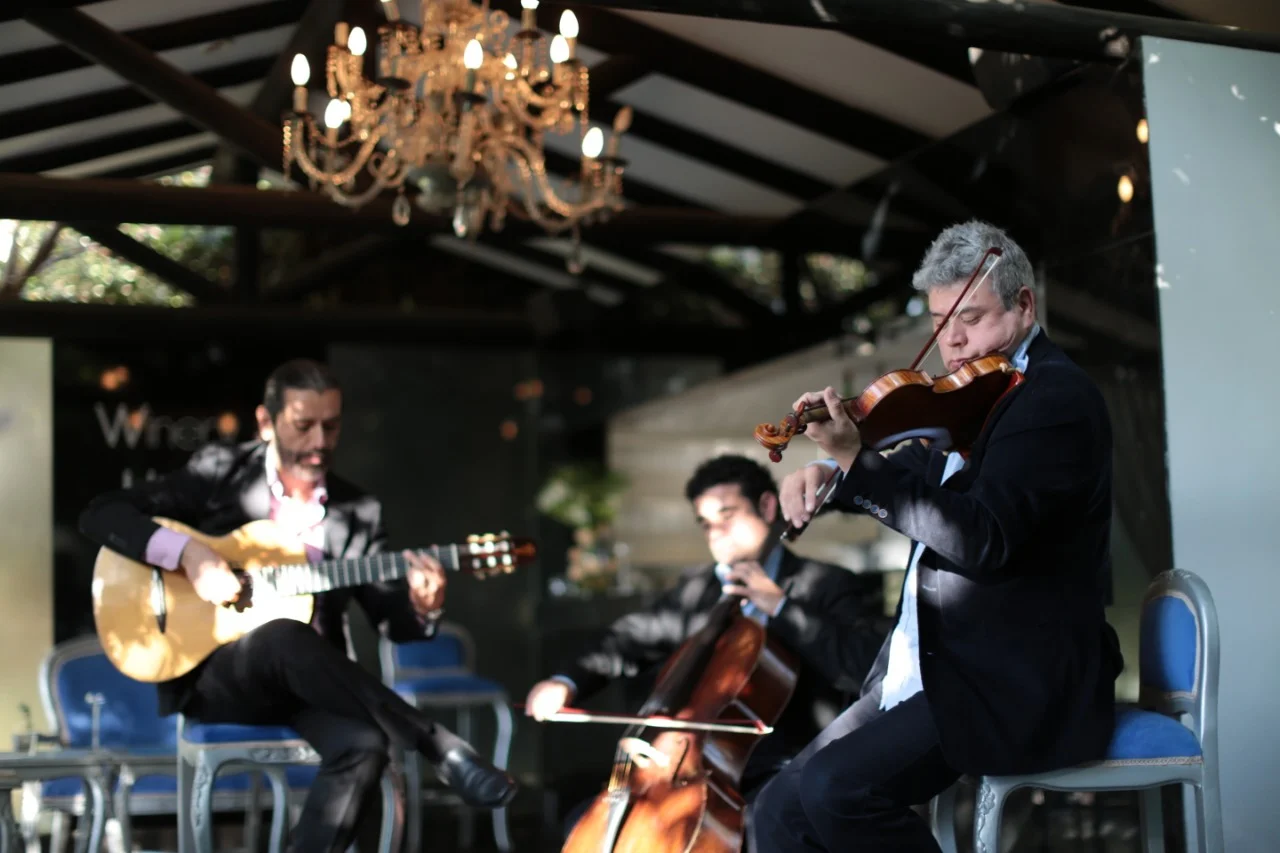 musica musicos para eventos chile agez