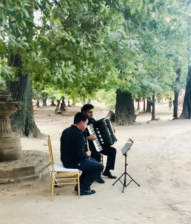 Viña danta rita musicos parque aire libre agez chile