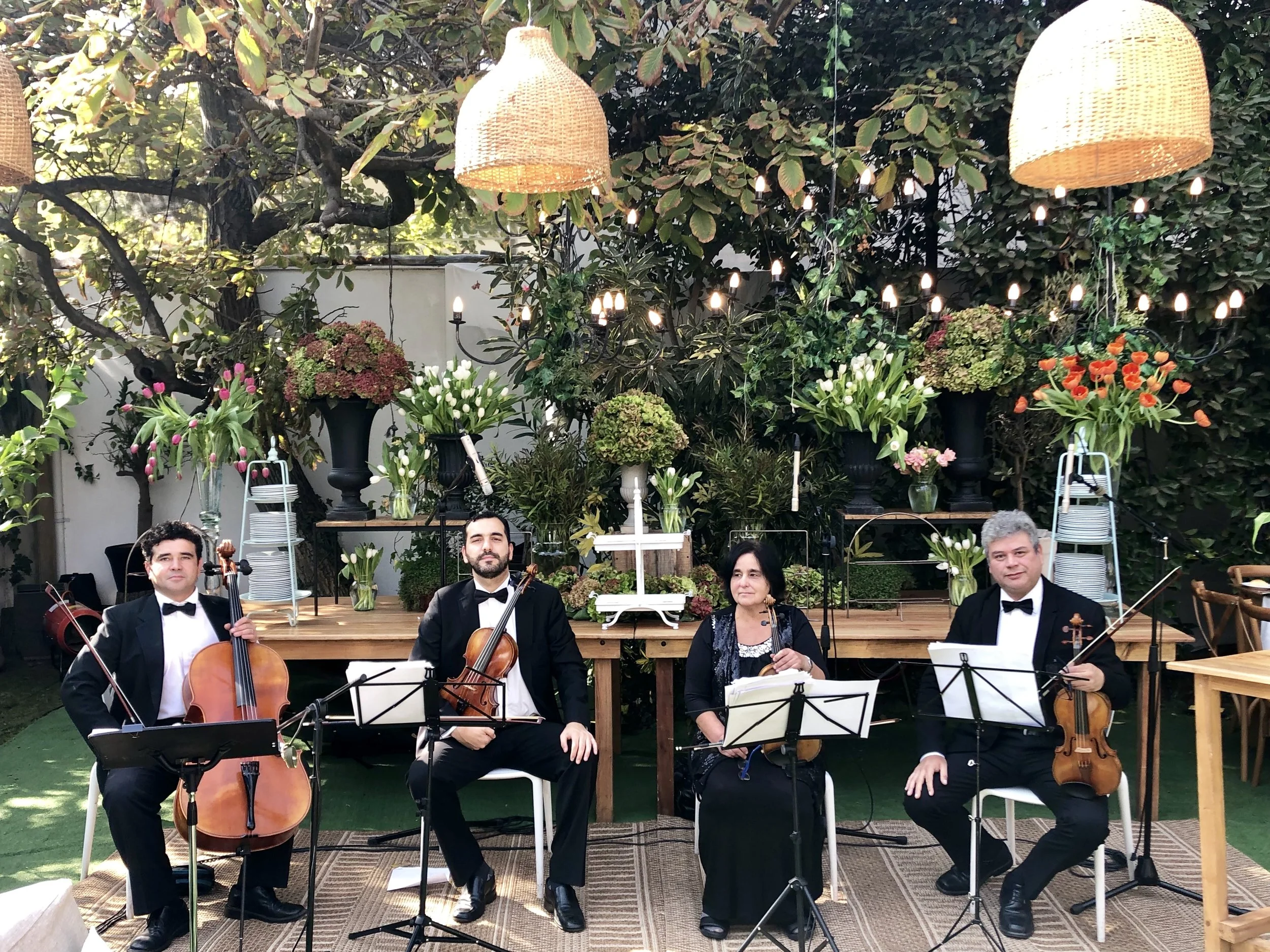 Cuarteto de cuerdas para eventos, Músicos Agez Chile