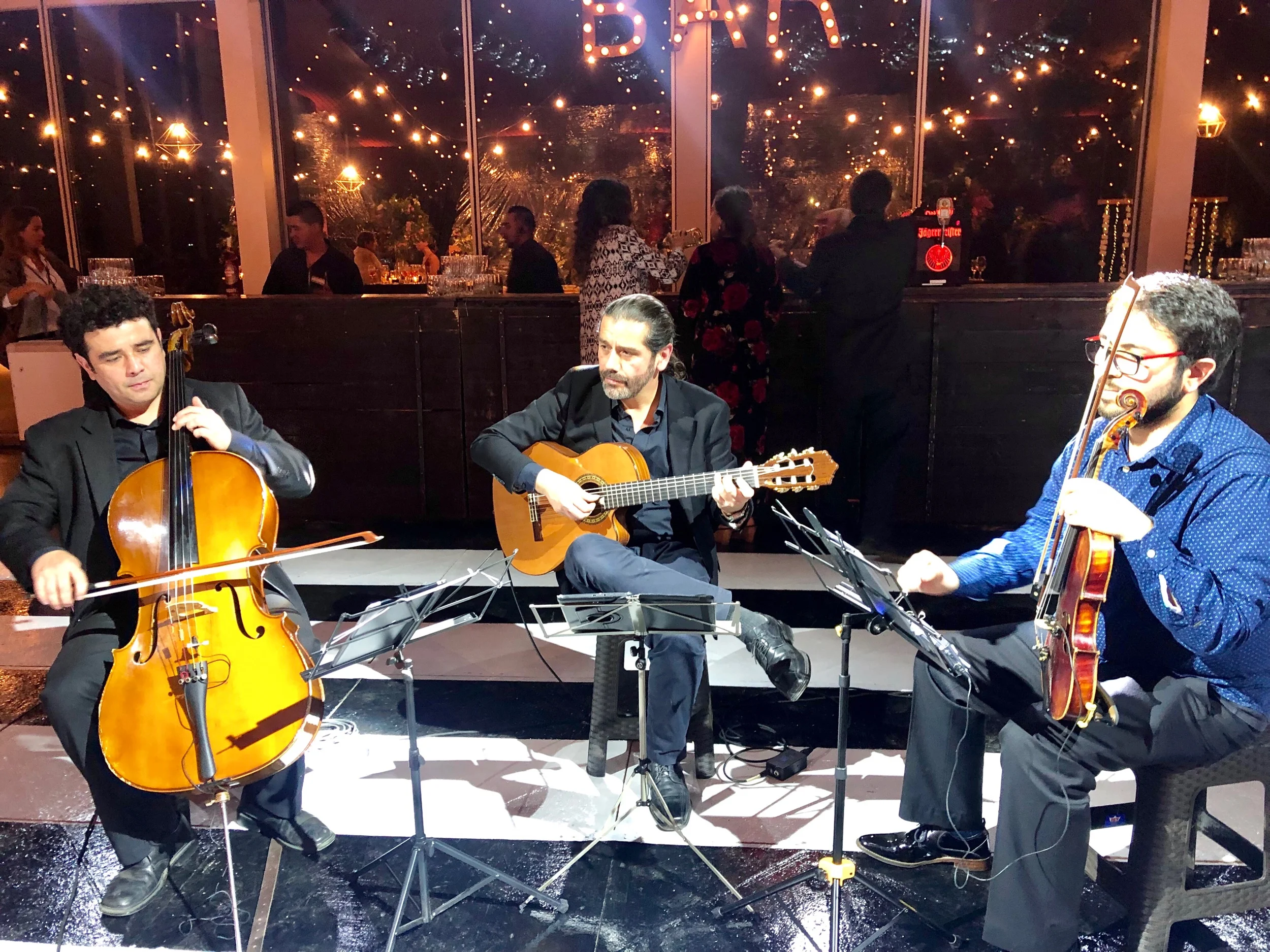 Musicos para eventos y matrimonios Agez Chile