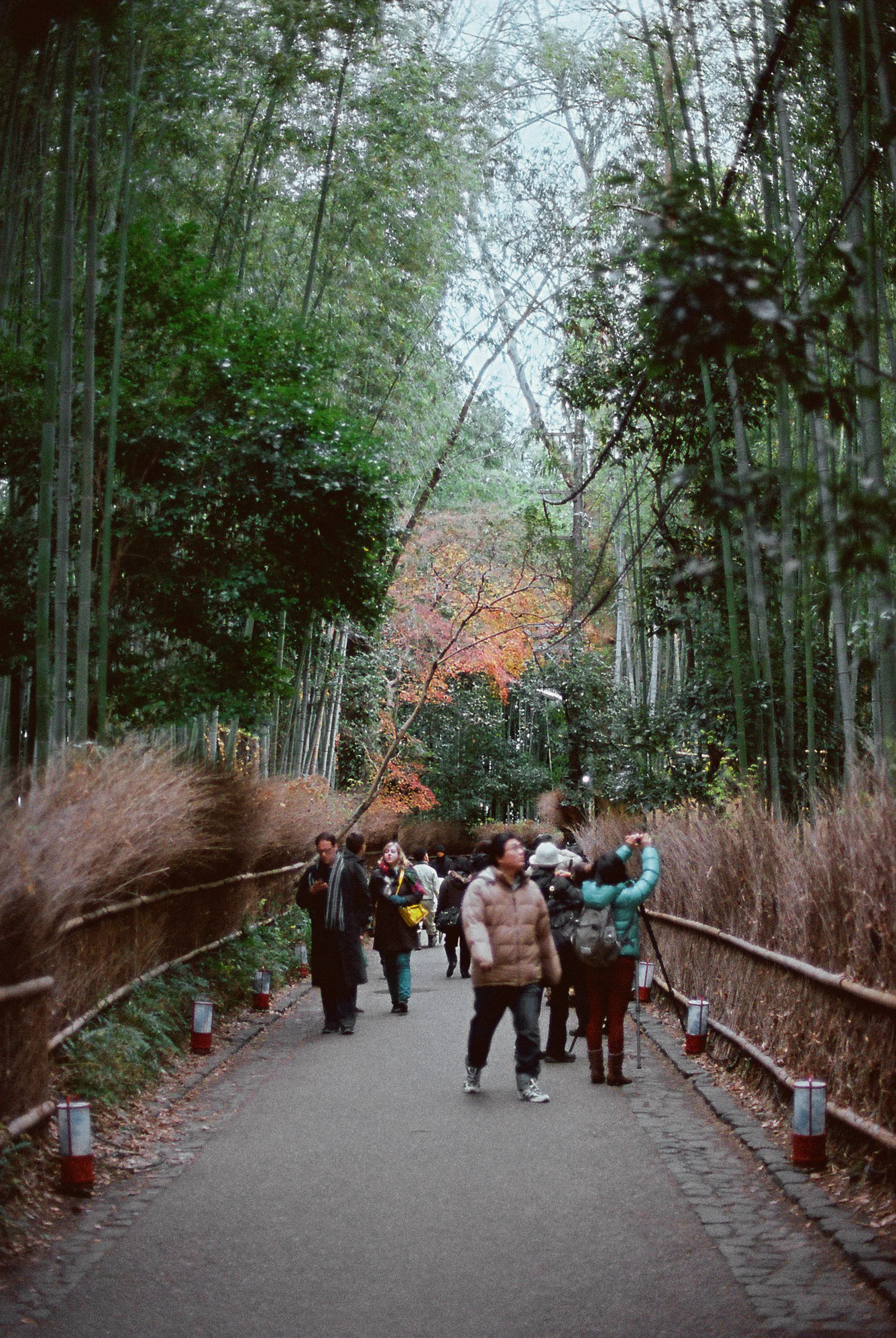 Kyoto, Japan, 2013