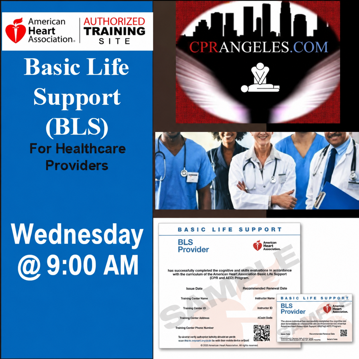 Wed 9am AHA Basic Life Support for Healthcare Providers
