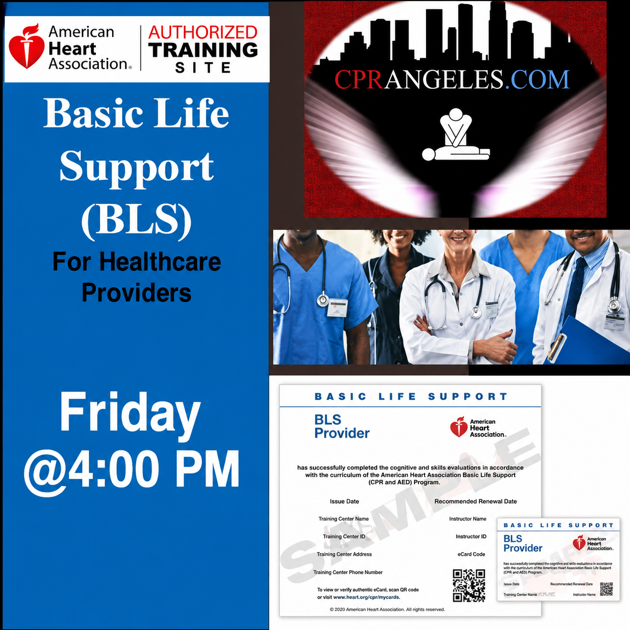 Fri 4pm AHA Basic Life Support for Healthcare Providers