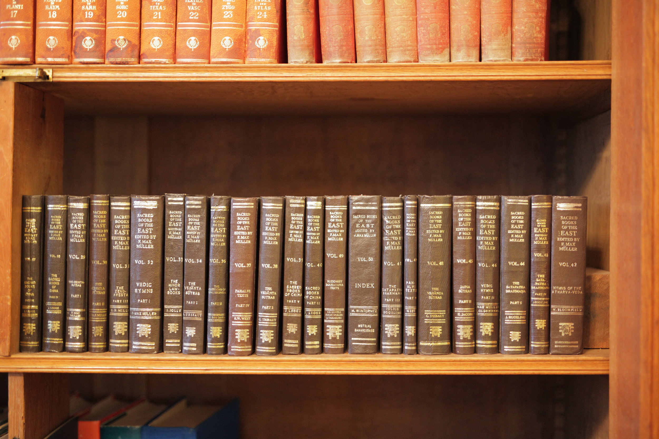 Poetry Reading: Peter Fallon