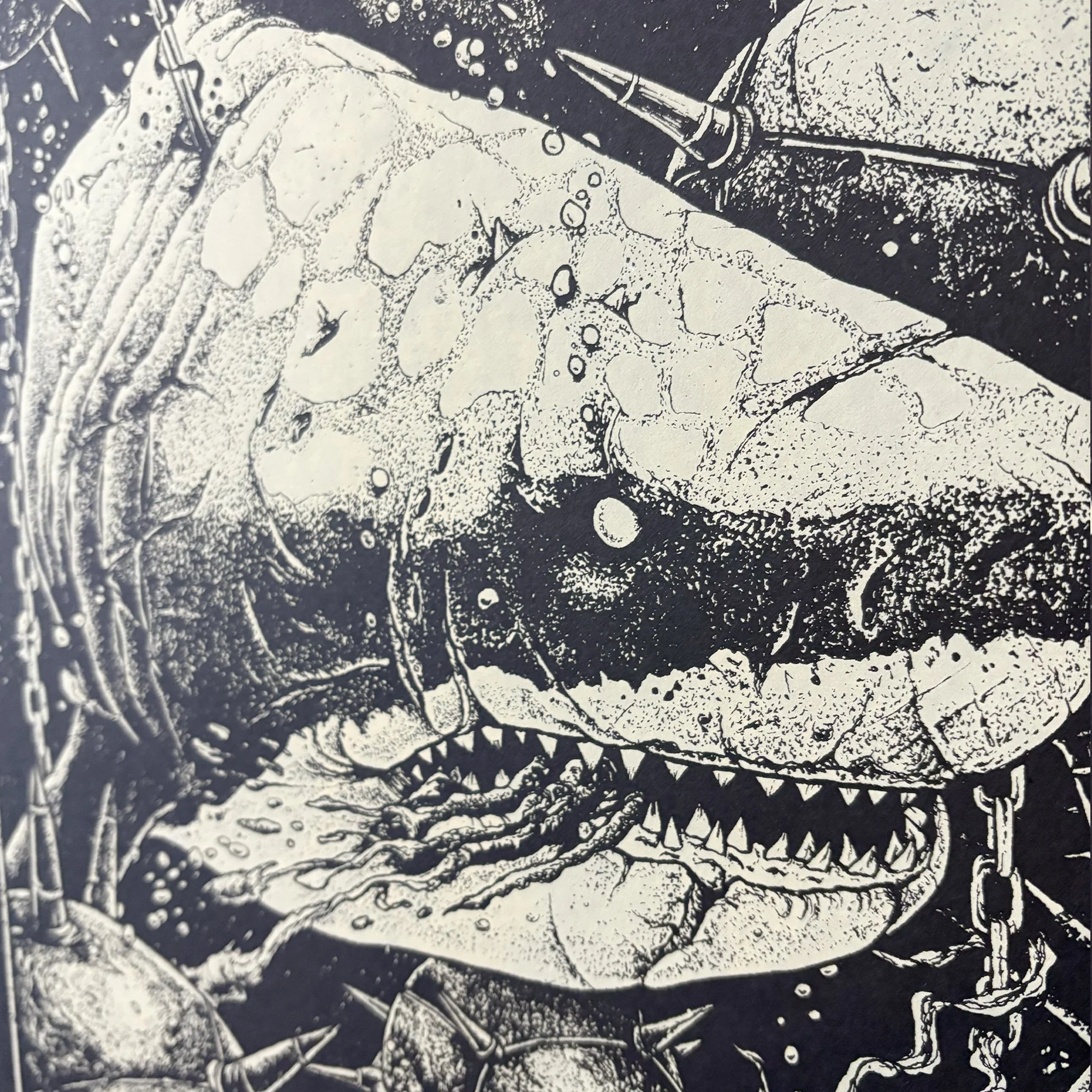 REQUINS_01.jpg