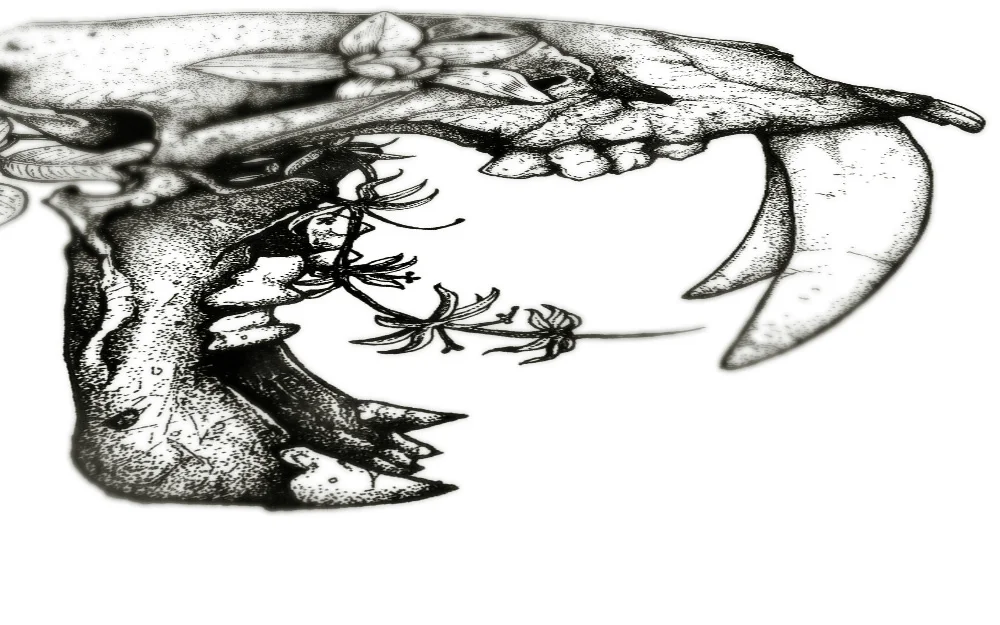 prehistoric-03.jpg