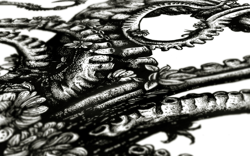 OCTOFLOWERS_04.jpg