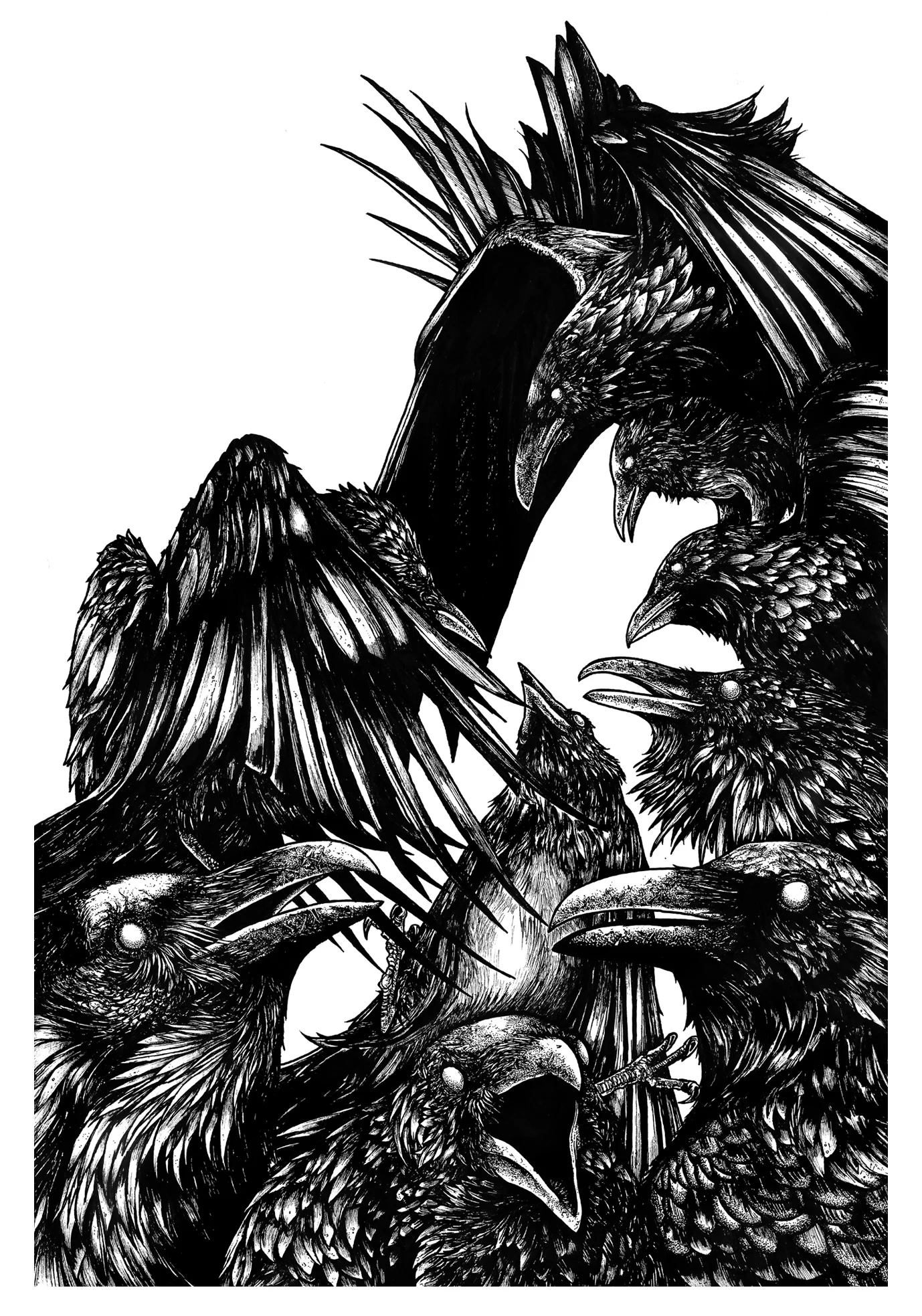 _COVER_CROWS.jpg