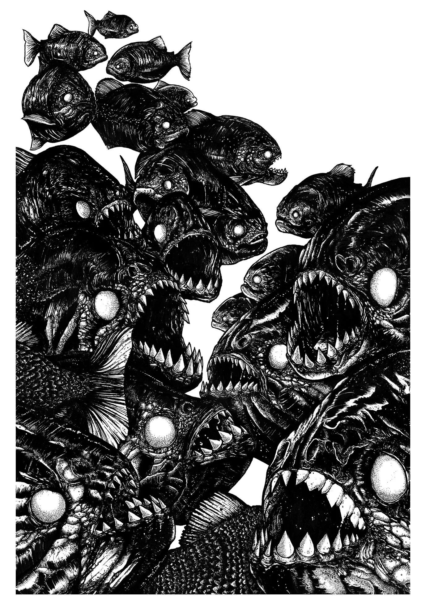 _COVER_FISH.jpg