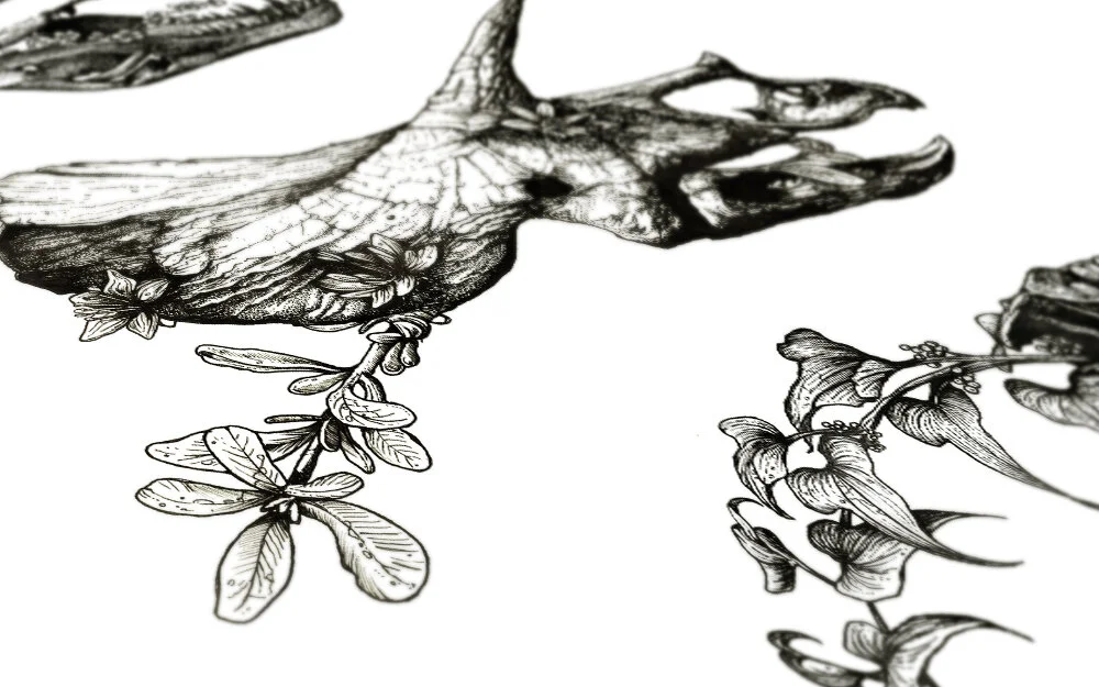 JurassicBloom-12.jpg
