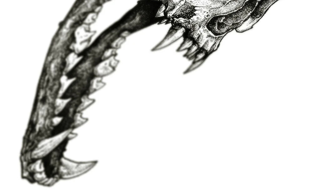 Kings-04.jpg