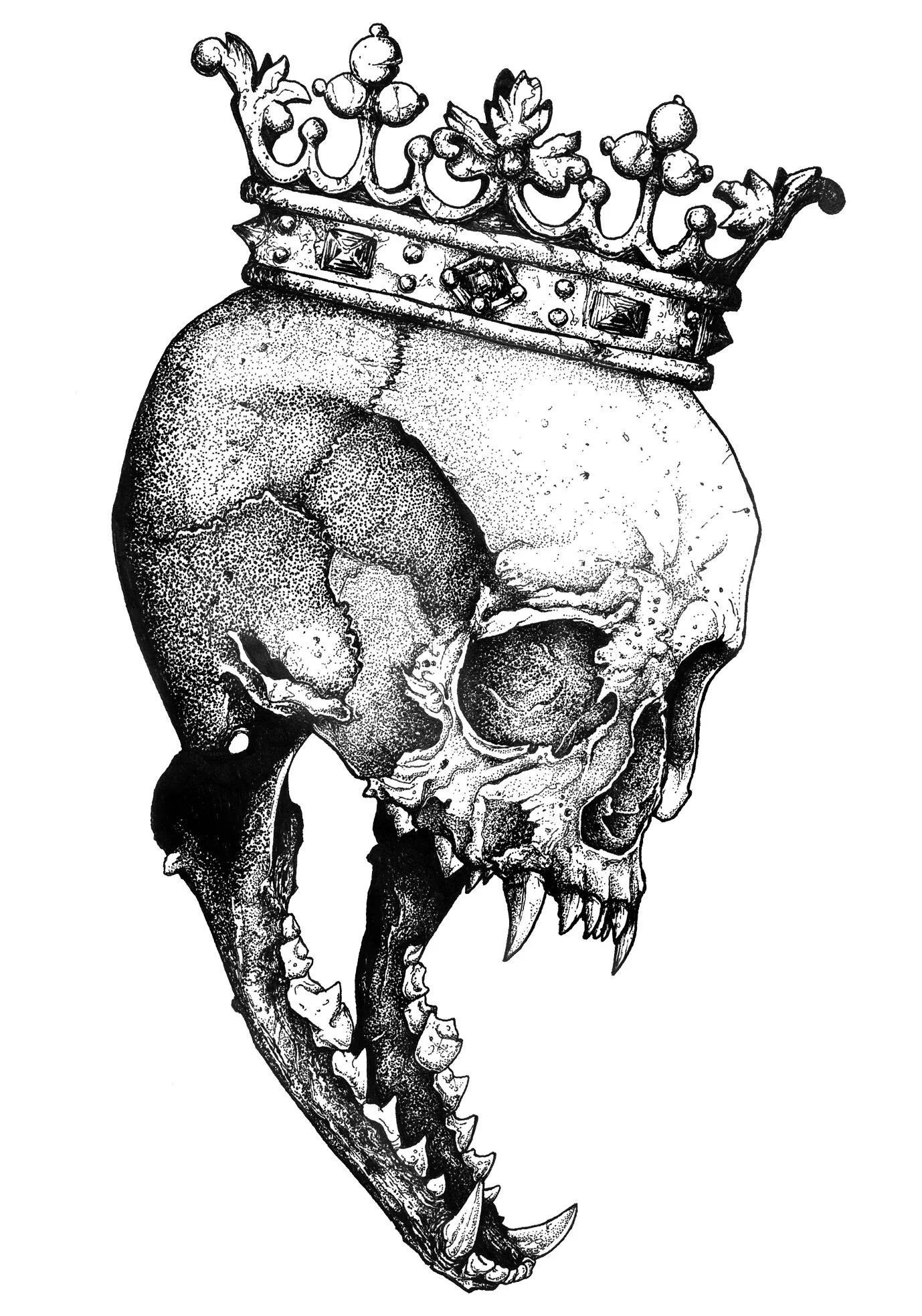 Kings-01.jpg