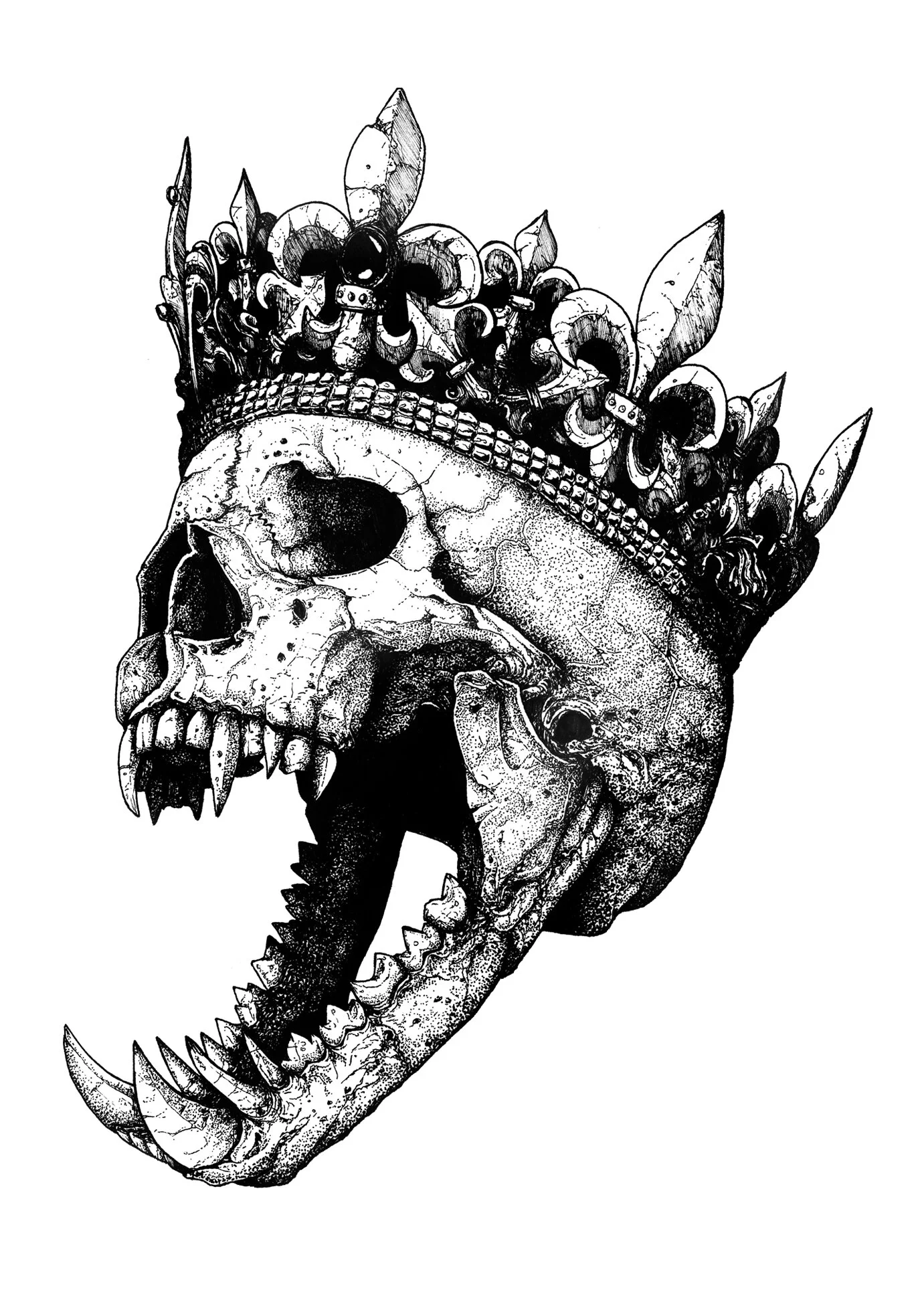 Kings-09.jpg