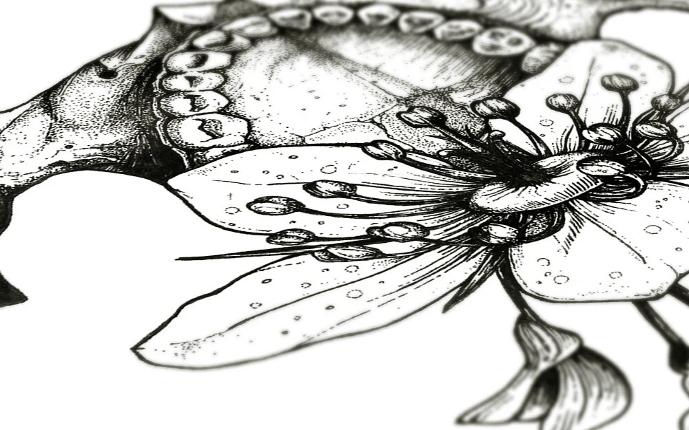 bloom-07.jpg