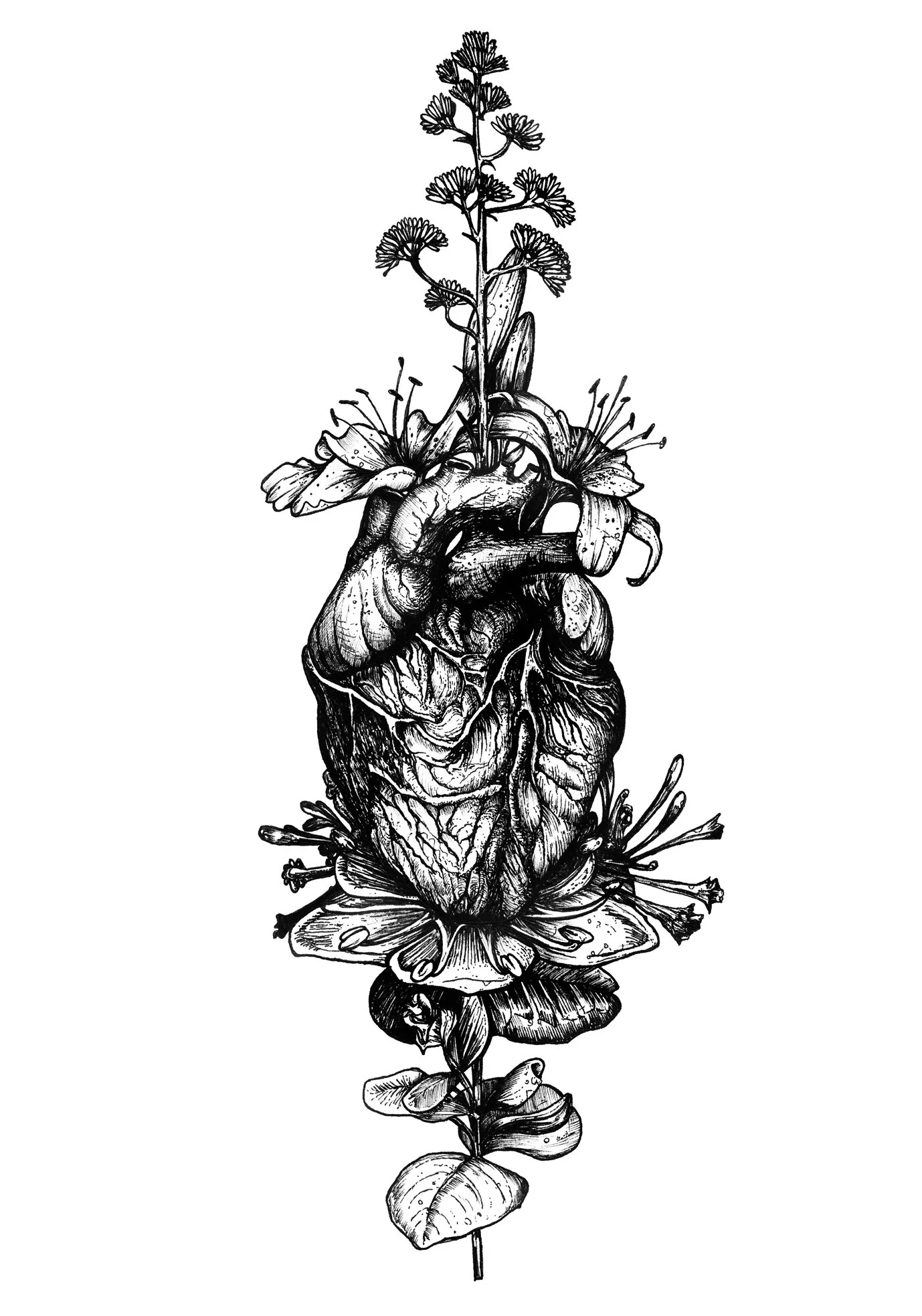 bloom-08.jpg