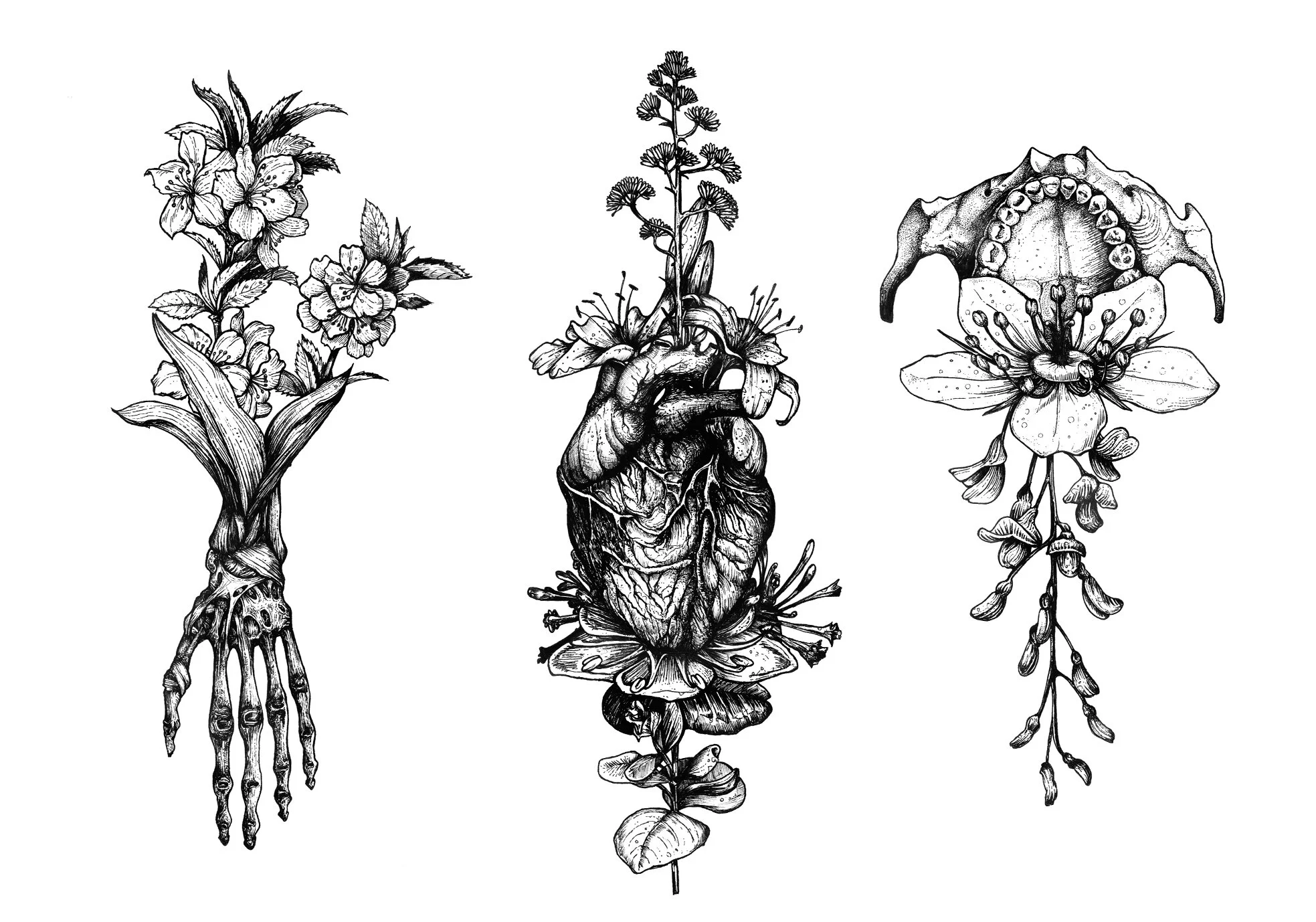 bloom-11.jpg