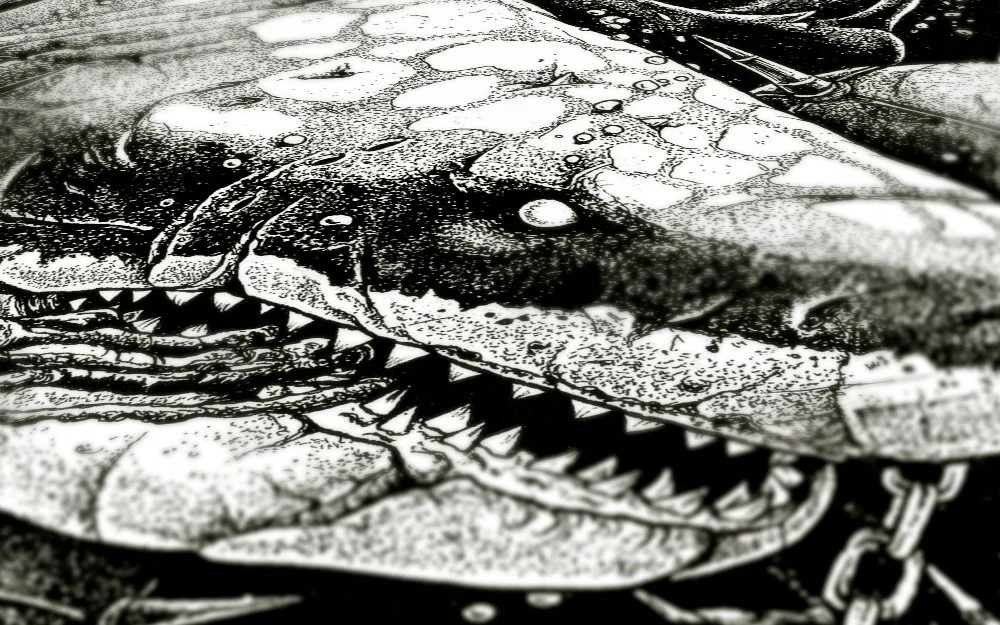 Requins_mines3.jpg