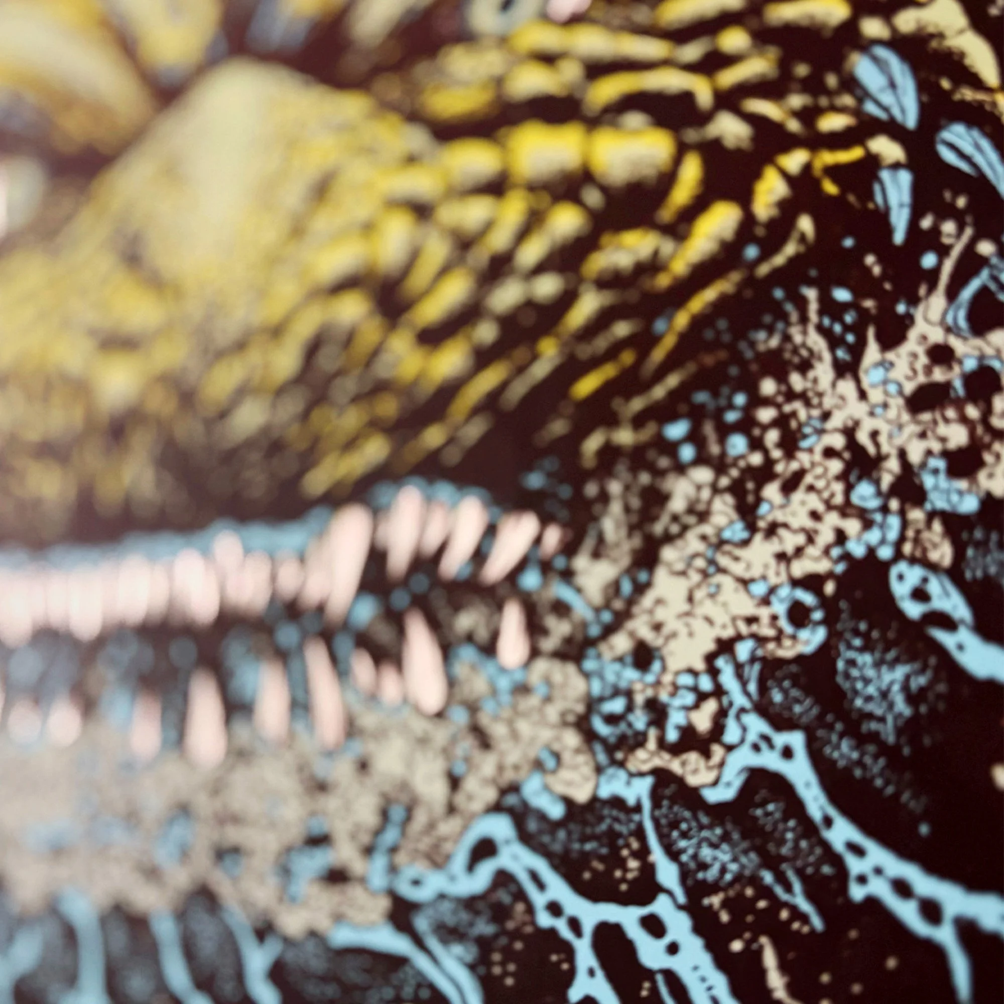DETAIL_BLUE_01.jpg