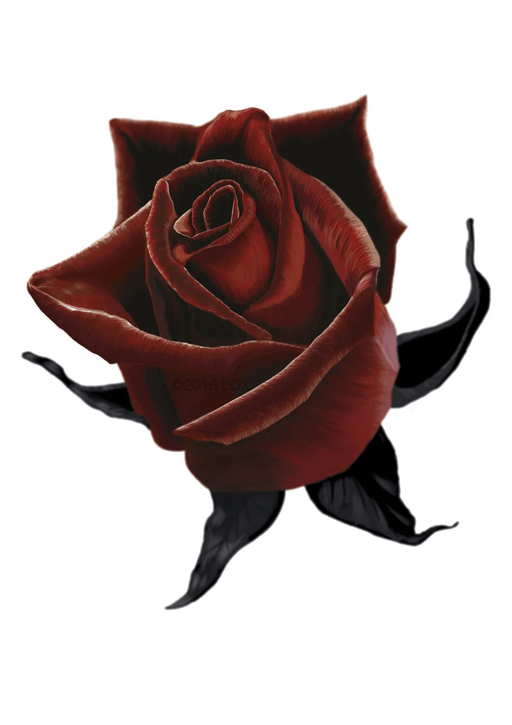 2016_02_17 ROSE V9 - FINAL_small_RGBforWEBwm.jpg