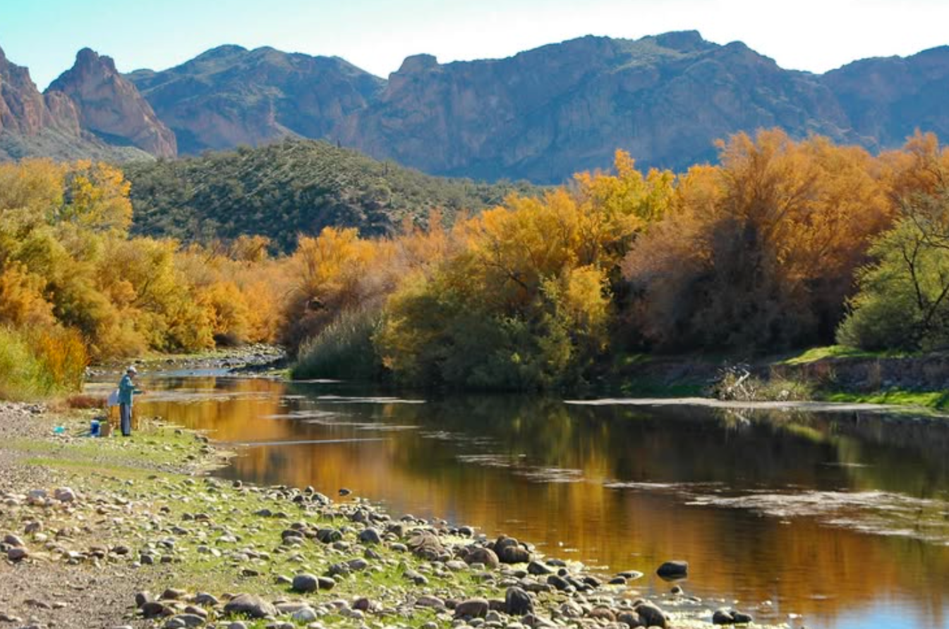How to Make Fall Landscape Colors Pop in Painting