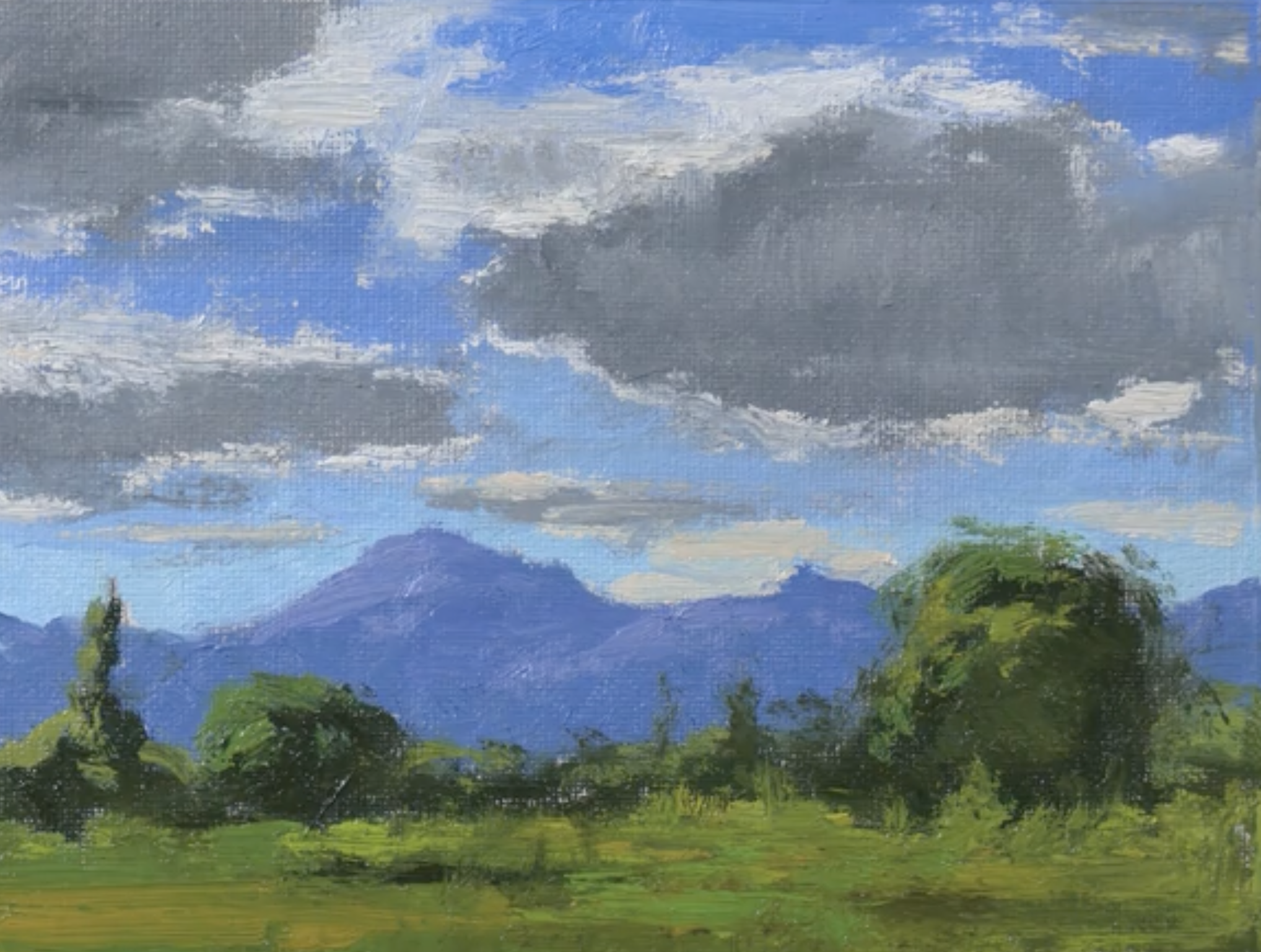 A landscape painting of a mountain range under a cloudy sky, with green trees and grass in the foreground.