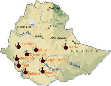 Ethiopia_coffee.gif